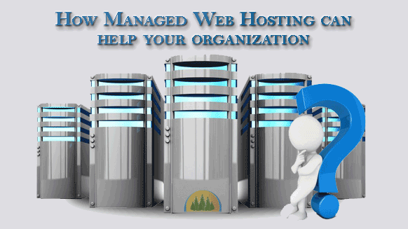 managed-web-hosting