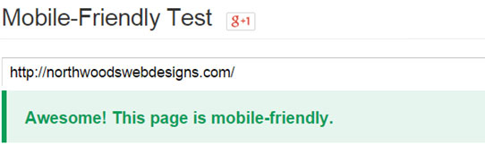 Responsive Web Design Test